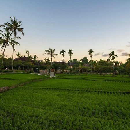 Agung Raka Villa Ubud  Ngoại thất bức ảnh
