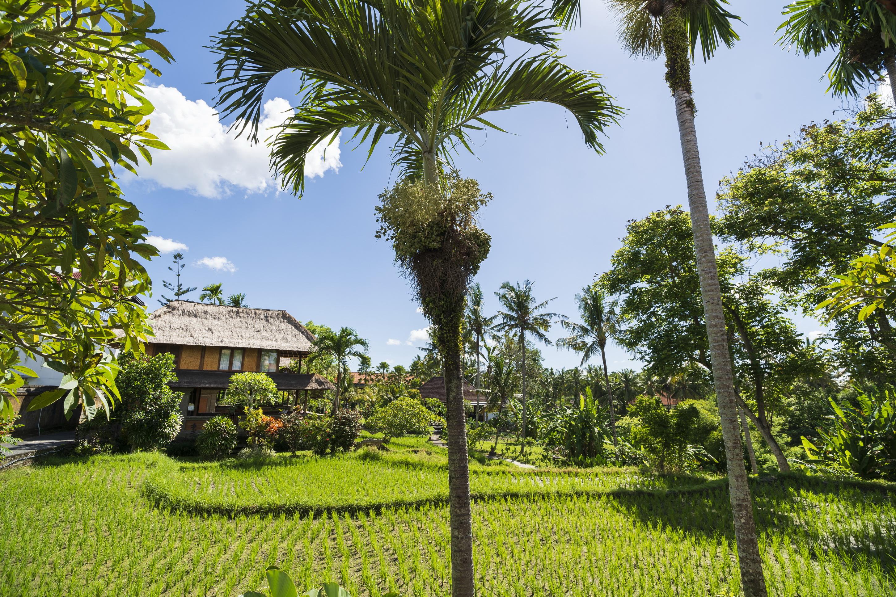 Agung Raka Villa Ubud  Ngoại thất bức ảnh