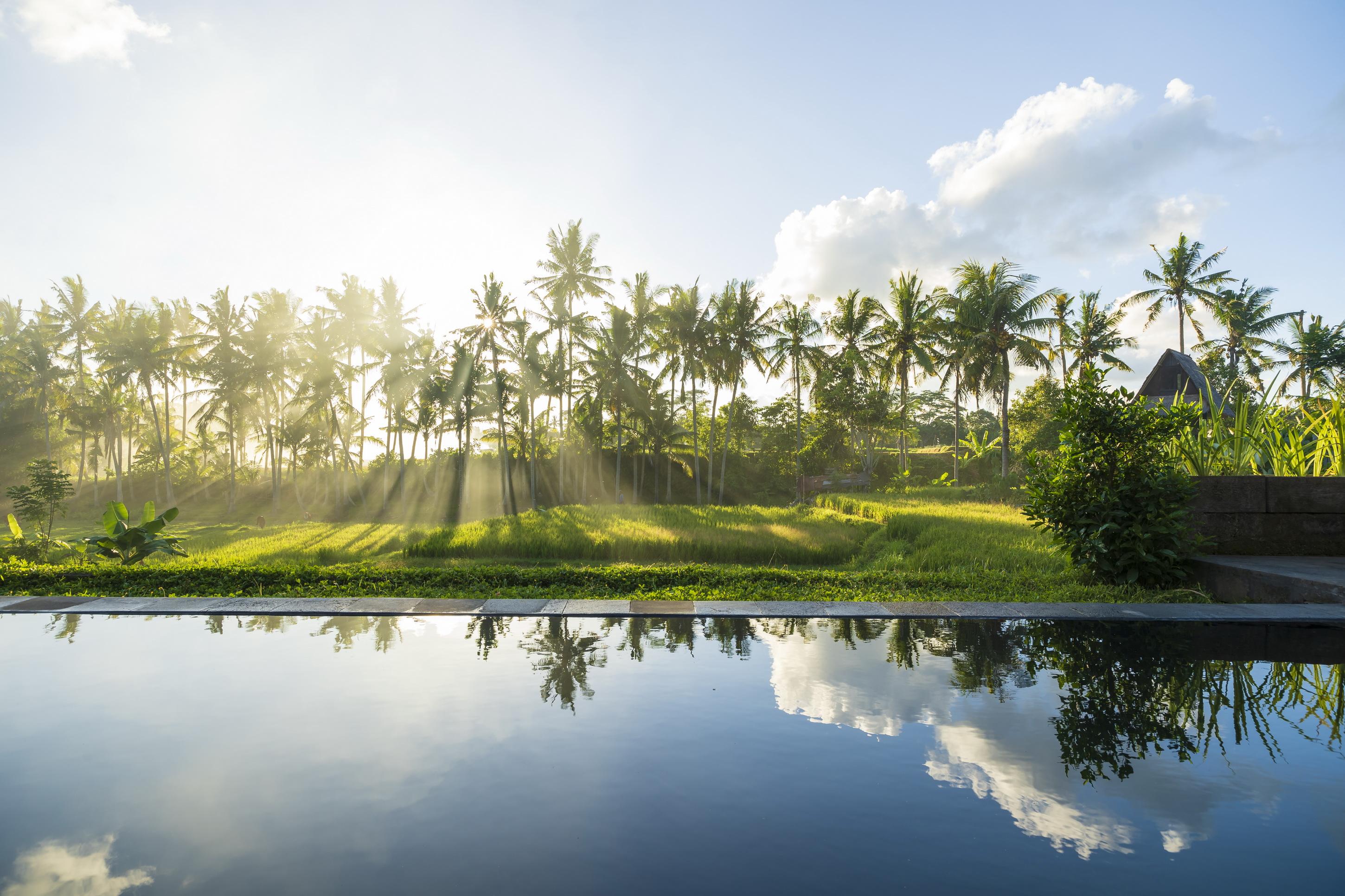 Agung Raka Villa Ubud  Ngoại thất bức ảnh