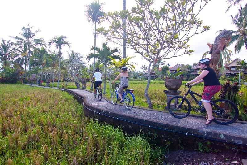 Agung Raka Villa Ubud  Ngoại thất bức ảnh